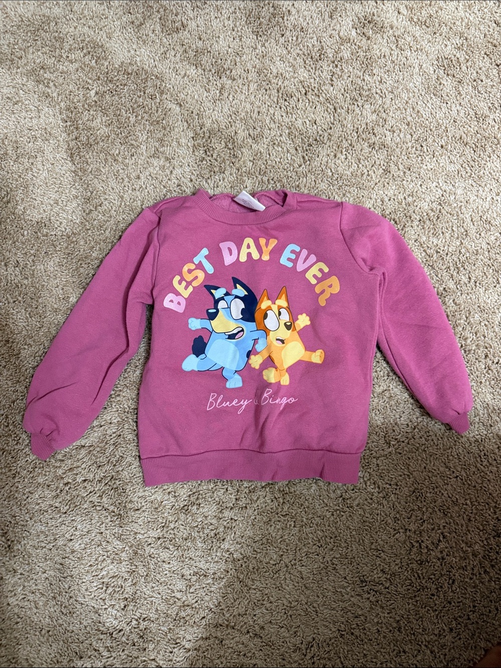 Kids "Best Day Ever" Pink Bluey & Bingo Sweatshirt